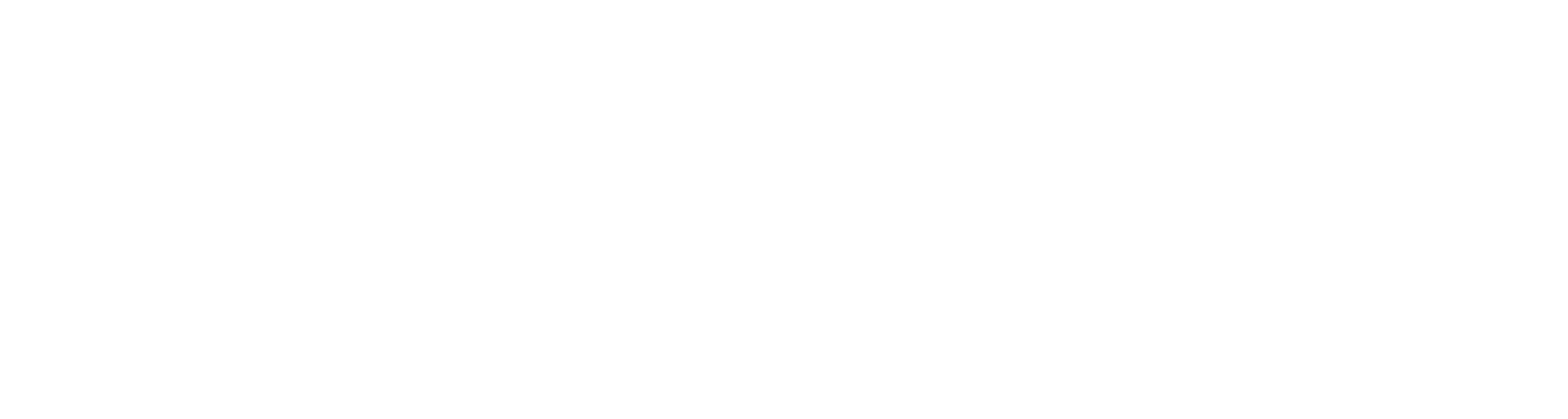 C3SA
